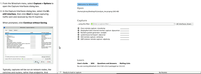 WireShark Basics