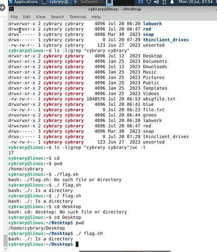 1784619201160_1784619197782_cyb